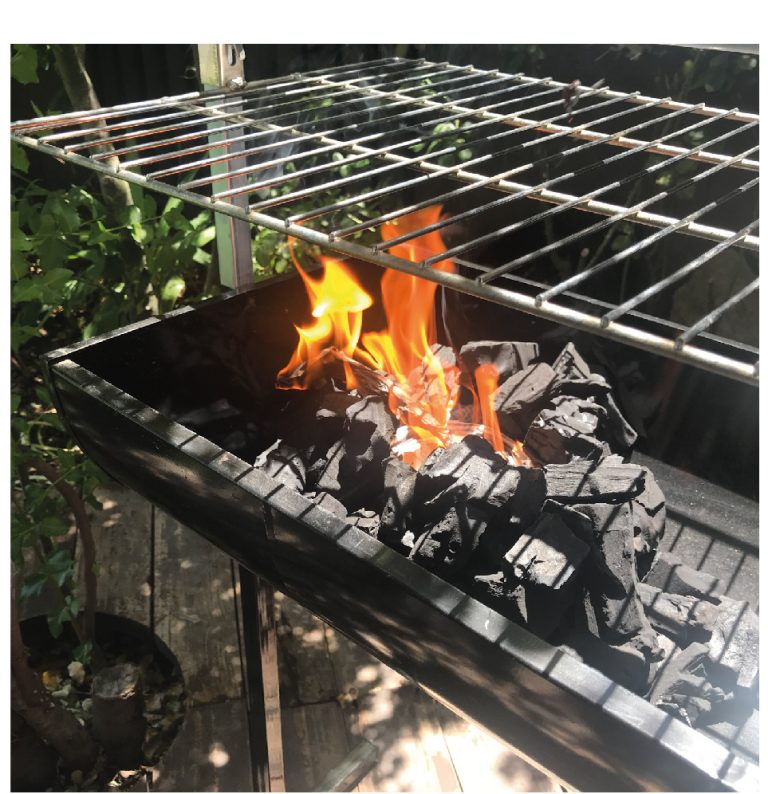 PARRILLA CARBÓN ROASTER CON ROLDANA ECONÓMICA